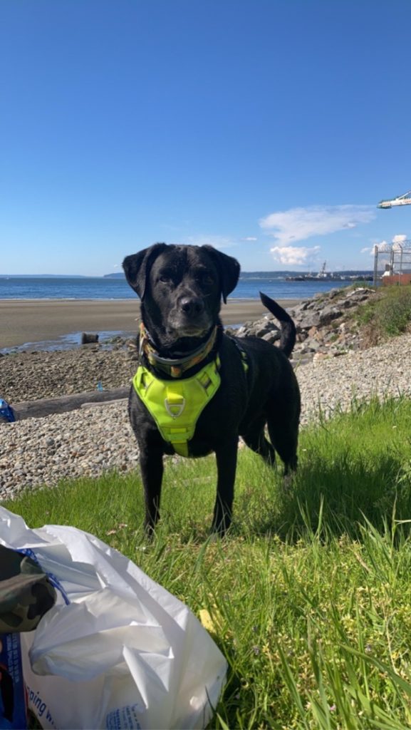 Anna 3 Pooper Trooper